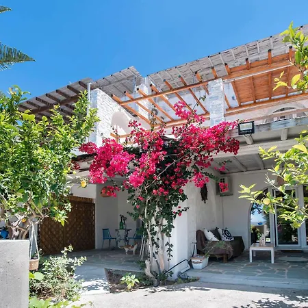 Maggano Paros 2 * Angairia